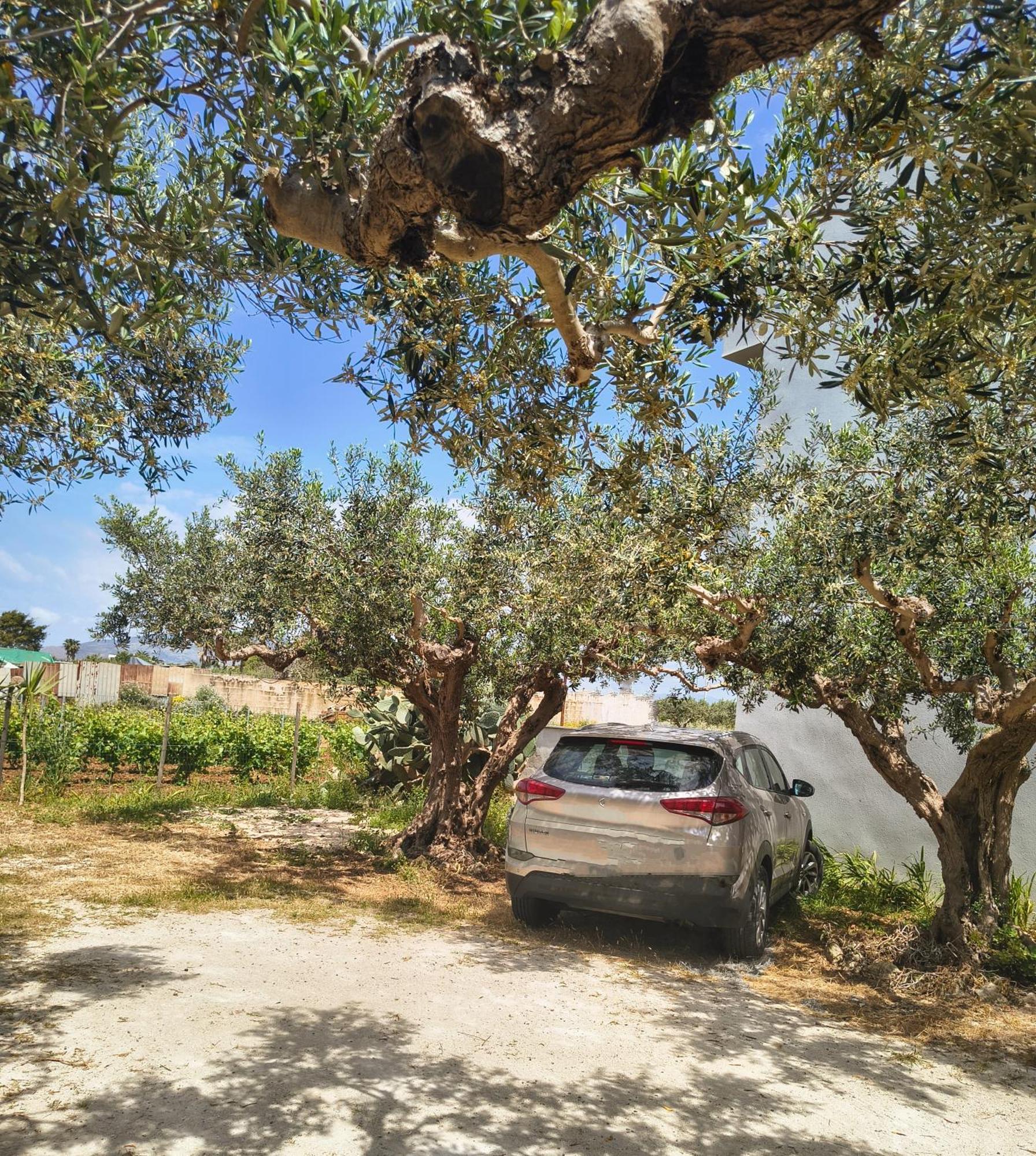 Appartamenti Fior Di Loto Trapani Cameră foto
